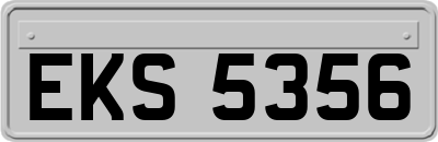 EKS5356