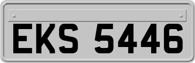 EKS5446