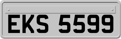 EKS5599