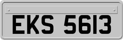 EKS5613