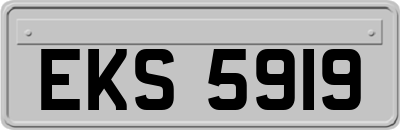 EKS5919
