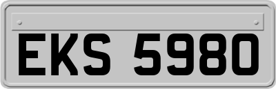 EKS5980