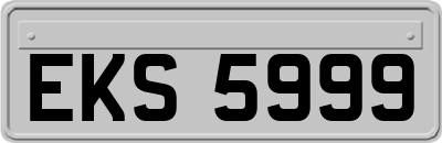 EKS5999