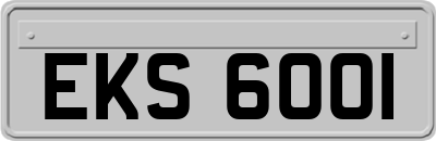 EKS6001