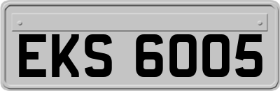EKS6005