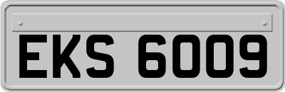 EKS6009