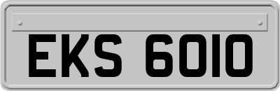 EKS6010