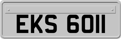 EKS6011