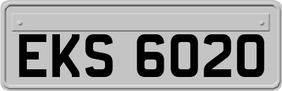 EKS6020