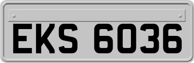 EKS6036