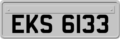 EKS6133