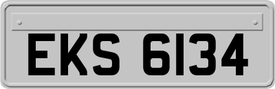 EKS6134