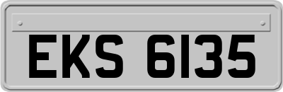 EKS6135