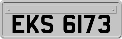 EKS6173