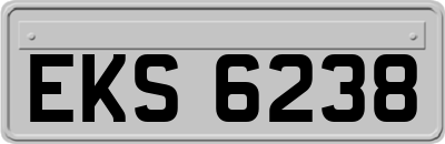 EKS6238