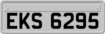 EKS6295