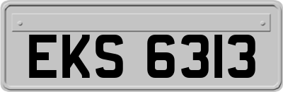 EKS6313