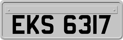 EKS6317