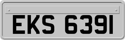 EKS6391
