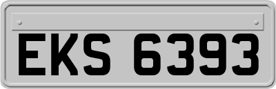 EKS6393