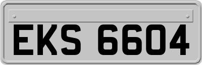 EKS6604