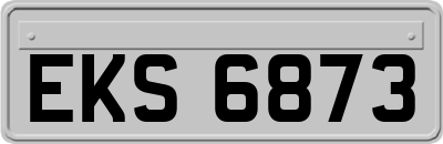 EKS6873