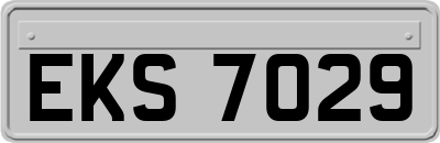EKS7029