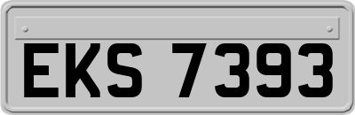 EKS7393