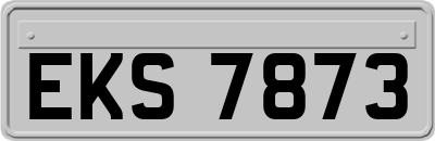EKS7873