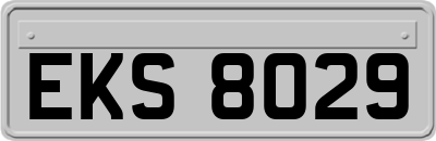 EKS8029