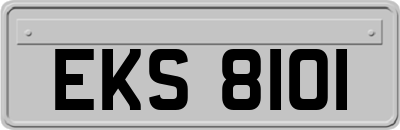 EKS8101