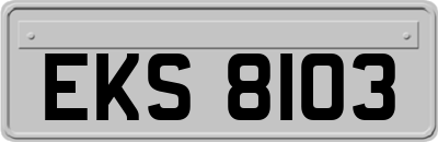EKS8103