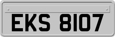 EKS8107