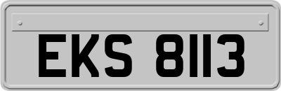 EKS8113