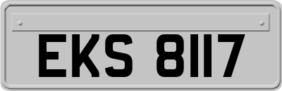 EKS8117