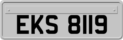 EKS8119