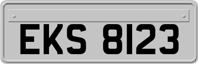 EKS8123