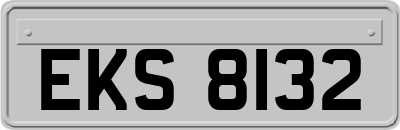 EKS8132
