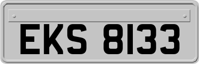 EKS8133