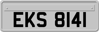 EKS8141