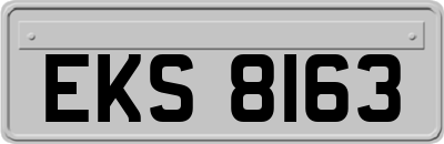 EKS8163