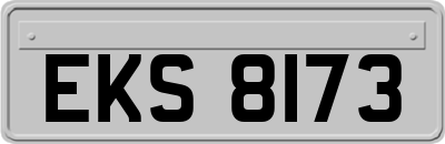 EKS8173