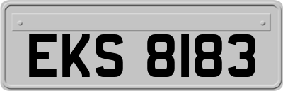 EKS8183