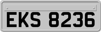 EKS8236