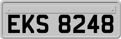 EKS8248