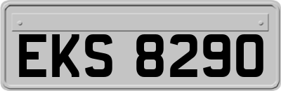 EKS8290