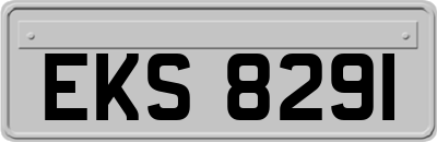 EKS8291