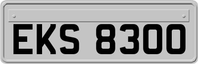 EKS8300