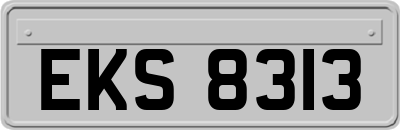 EKS8313