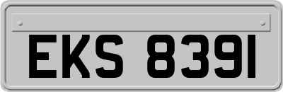 EKS8391